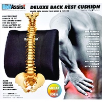 Body Assist Deluxe Lower Back Cushion image