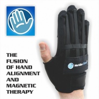 Body Assist Meridian Pair Gloves with Magnets & Hand Alignment image