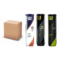 Wilson All Surface Special Case (18x4 ball cans) image