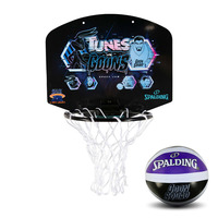 Spalding® x Space Jam: Tunes v Goons Micro Mini Backboard image