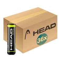 Head Team Box of Balls (36 x 4 Ball Can) image