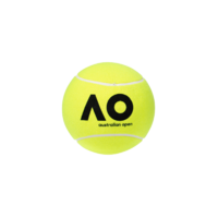 Dunlop AO Jumbo Ball - Yellow image