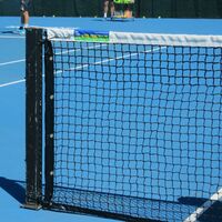 Eye Cue Premium A Grade 3.5' Tapered Double Weave Net image