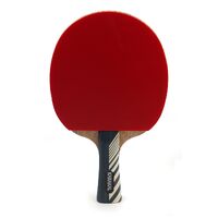 Karakal KTT200 Table Tennis Bat image