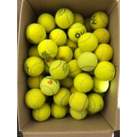 50 Used Tennis Balls image