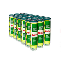 Wilson Starter Green 4 Ball 18 Can Case image