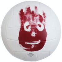 Wilson Castaway Volleyball image