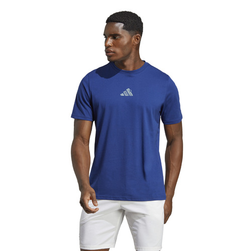 Adidas Mens AO Graphic Tee - Victory Blue [Size : Large]