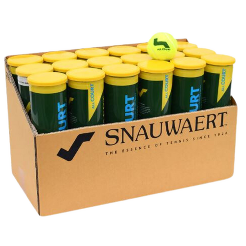 Snauwaert All Court 4 Ball 18 Can Case
