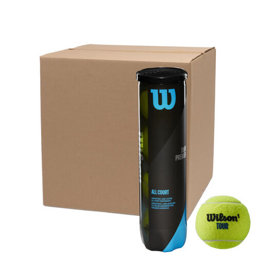 Wilson Tour Premier All Court 4 Ball 18 Can Case