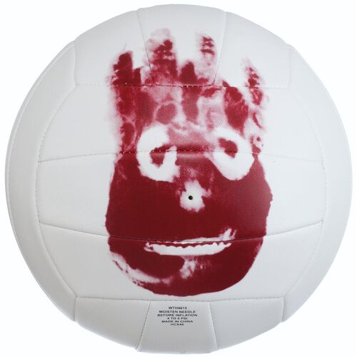 Wilson Castaway Volleyball
